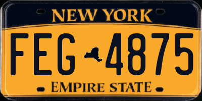 NY license plate FEG4875