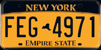 NY license plate FEG4971