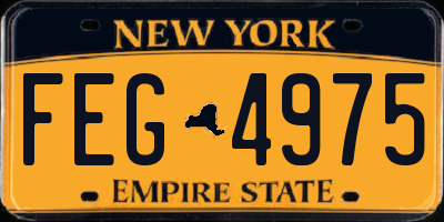 NY license plate FEG4975