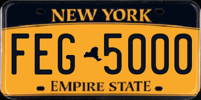 NY license plate FEG5000