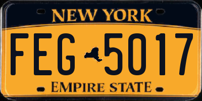 NY license plate FEG5017
