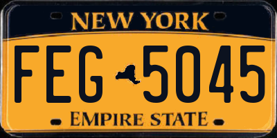 NY license plate FEG5045