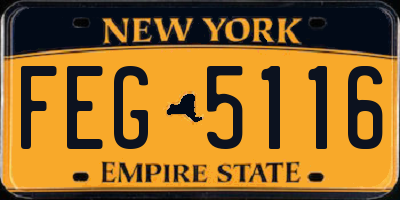 NY license plate FEG5116