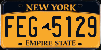 NY license plate FEG5129