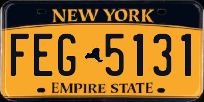 NY license plate FEG5131