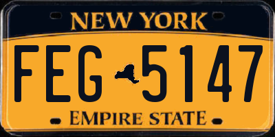 NY license plate FEG5147