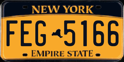 NY license plate FEG5166