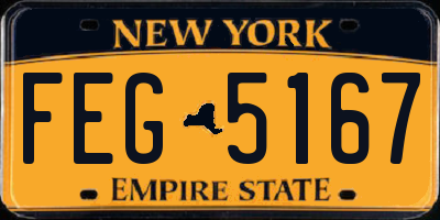 NY license plate FEG5167