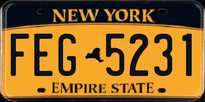 NY license plate FEG5231