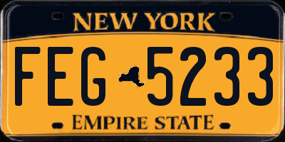 NY license plate FEG5233