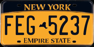 NY license plate FEG5237