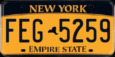 NY license plate FEG5259