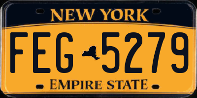 NY license plate FEG5279