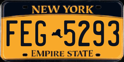 NY license plate FEG5293