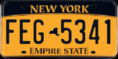 NY license plate FEG5341
