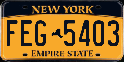 NY license plate FEG5403