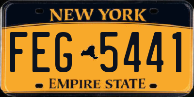 NY license plate FEG5441