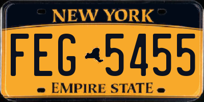 NY license plate FEG5455