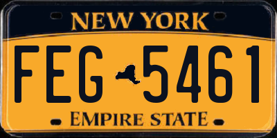 NY license plate FEG5461