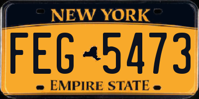 NY license plate FEG5473