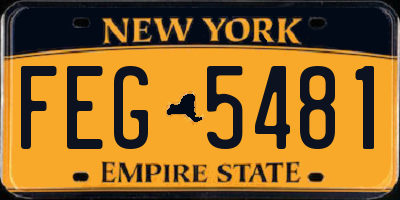 NY license plate FEG5481