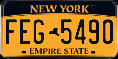 NY license plate FEG5490