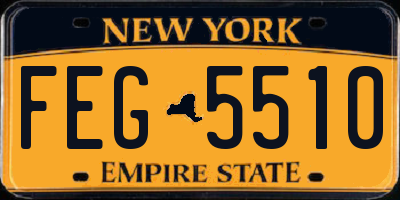 NY license plate FEG5510