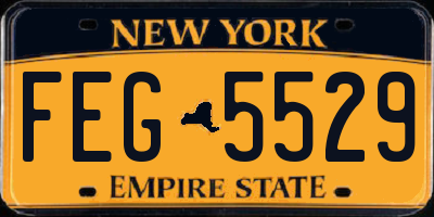 NY license plate FEG5529
