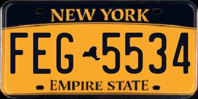 NY license plate FEG5534