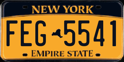 NY license plate FEG5541