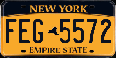 NY license plate FEG5572