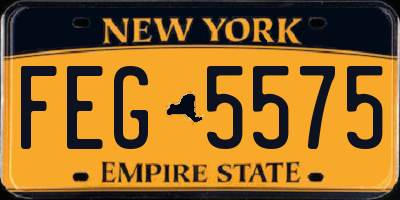 NY license plate FEG5575