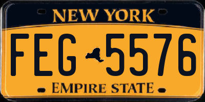 NY license plate FEG5576