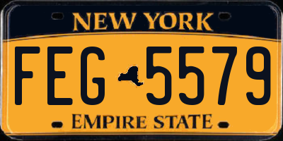 NY license plate FEG5579