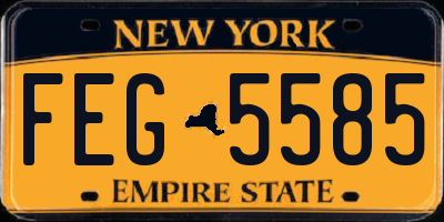 NY license plate FEG5585