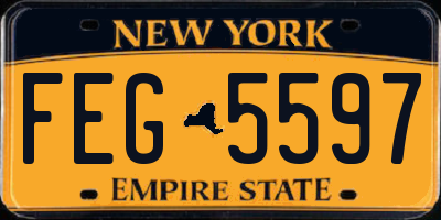 NY license plate FEG5597