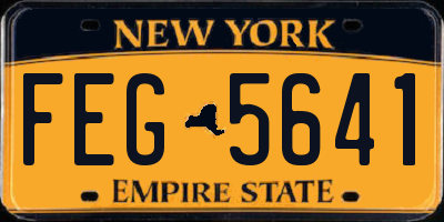 NY license plate FEG5641