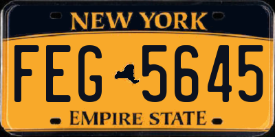 NY license plate FEG5645