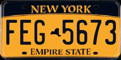 NY license plate FEG5673