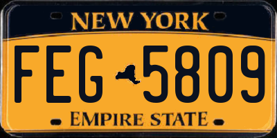 NY license plate FEG5809