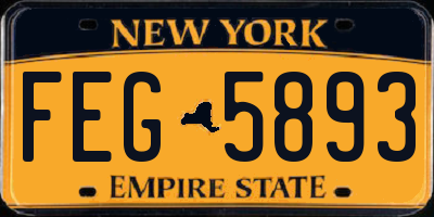 NY license plate FEG5893
