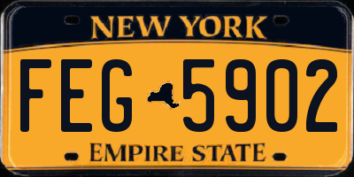 NY license plate FEG5902
