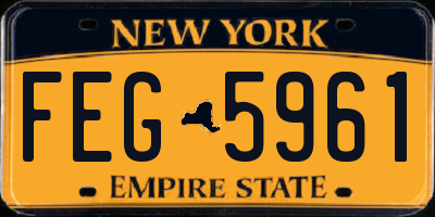 NY license plate FEG5961