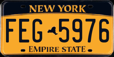 NY license plate FEG5976