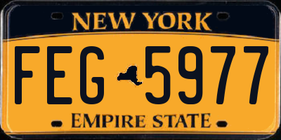 NY license plate FEG5977