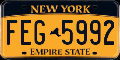 NY license plate FEG5992