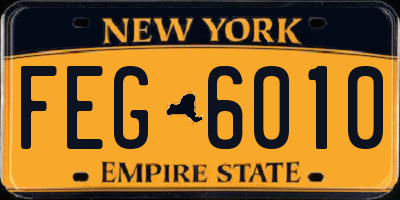 NY license plate FEG6010