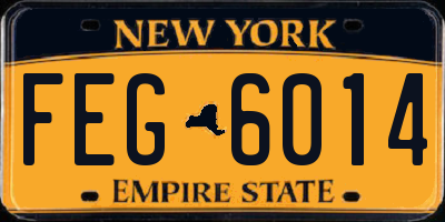 NY license plate FEG6014