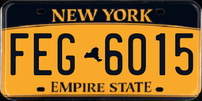 NY license plate FEG6015