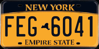 NY license plate FEG6041